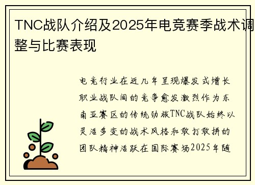TNC战队介绍及2025年电竞赛季战术调整与比赛表现