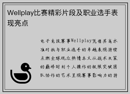 Wellplay比赛精彩片段及职业选手表现亮点